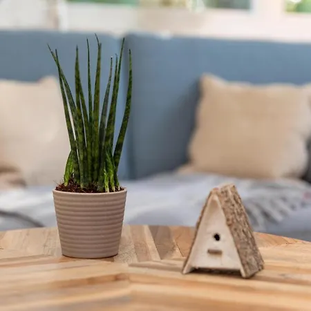 Arielle Nr. 1 Appartement Zingst